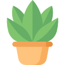 All-Natural Ingredients You Can Trust